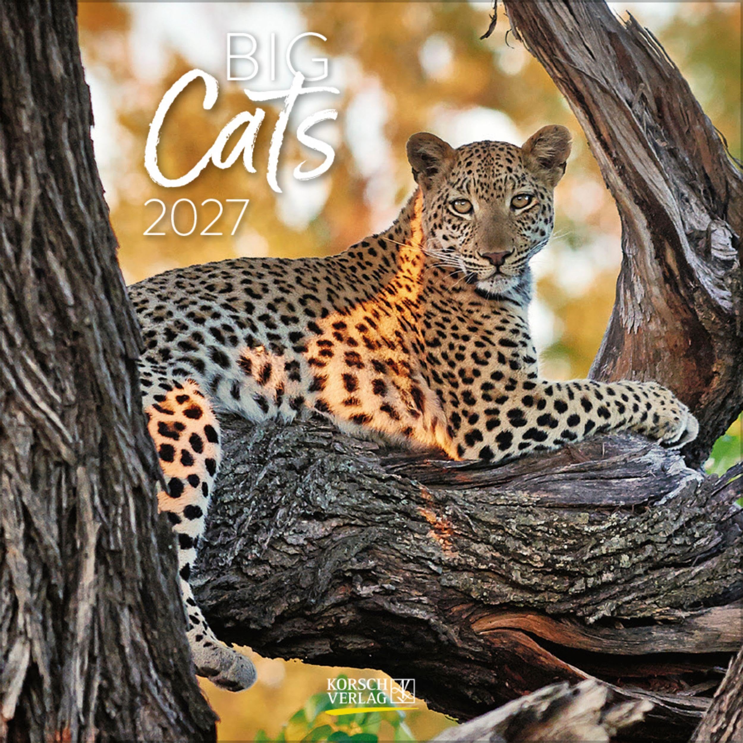 Big Cats 2027: Broschürenkalender mit Ferienterminen. Bilder von Raubkatzen. 30 x 30 cm