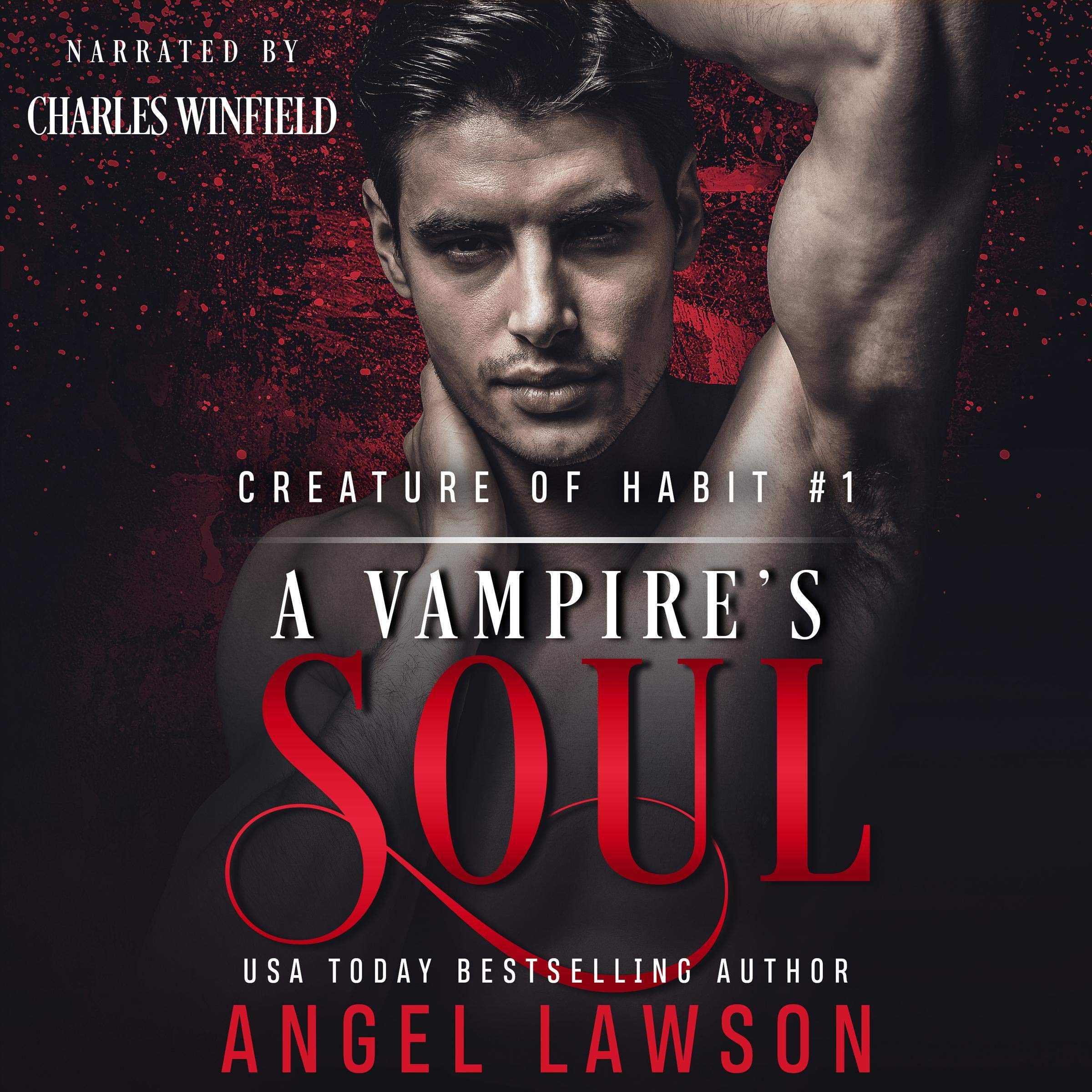 Cover art for A Vampire's Soul