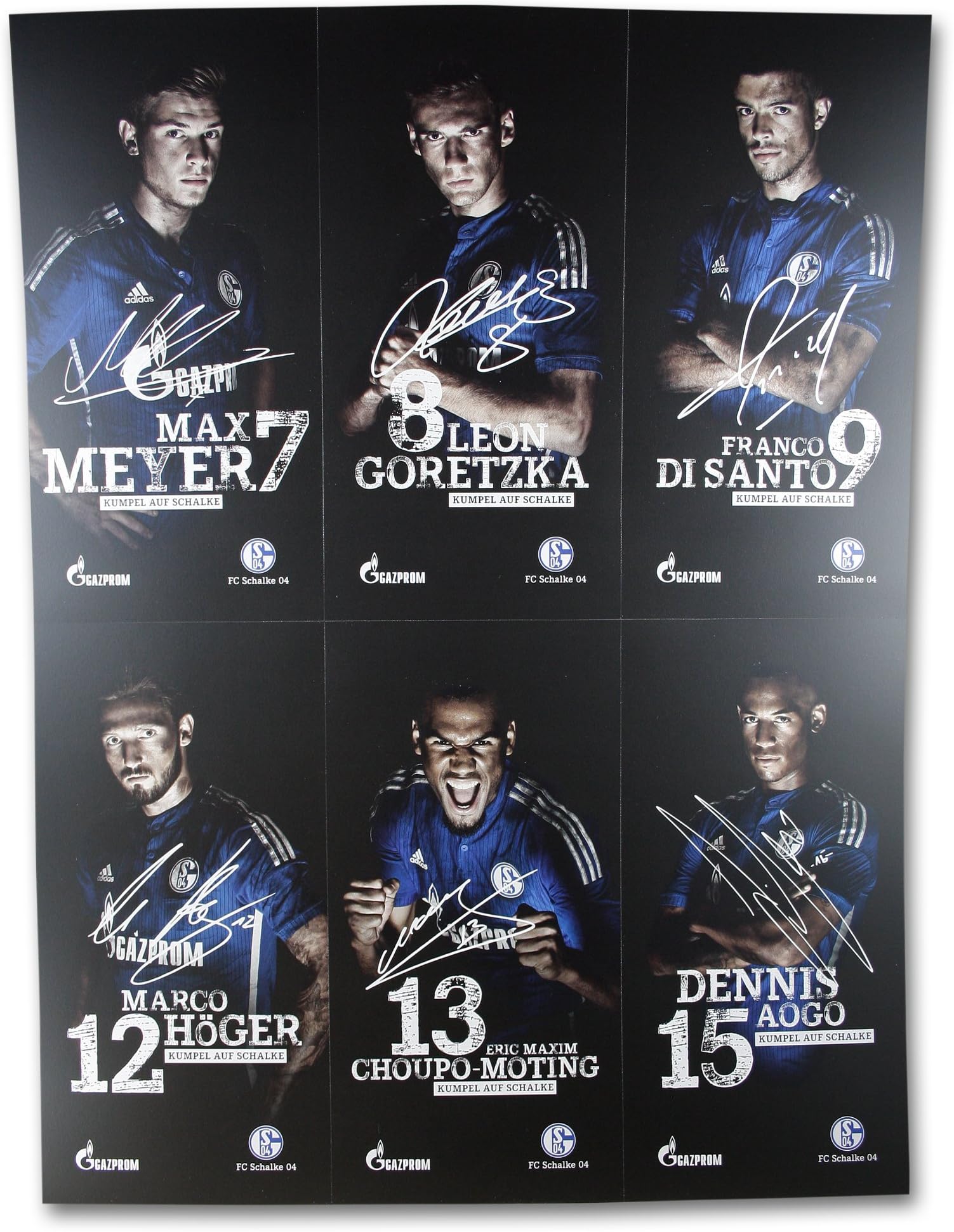 Schalke 04 Autograph Cards/Collectors Cards/Autographs Pack of 30 Players, Coaches and Mascot S04