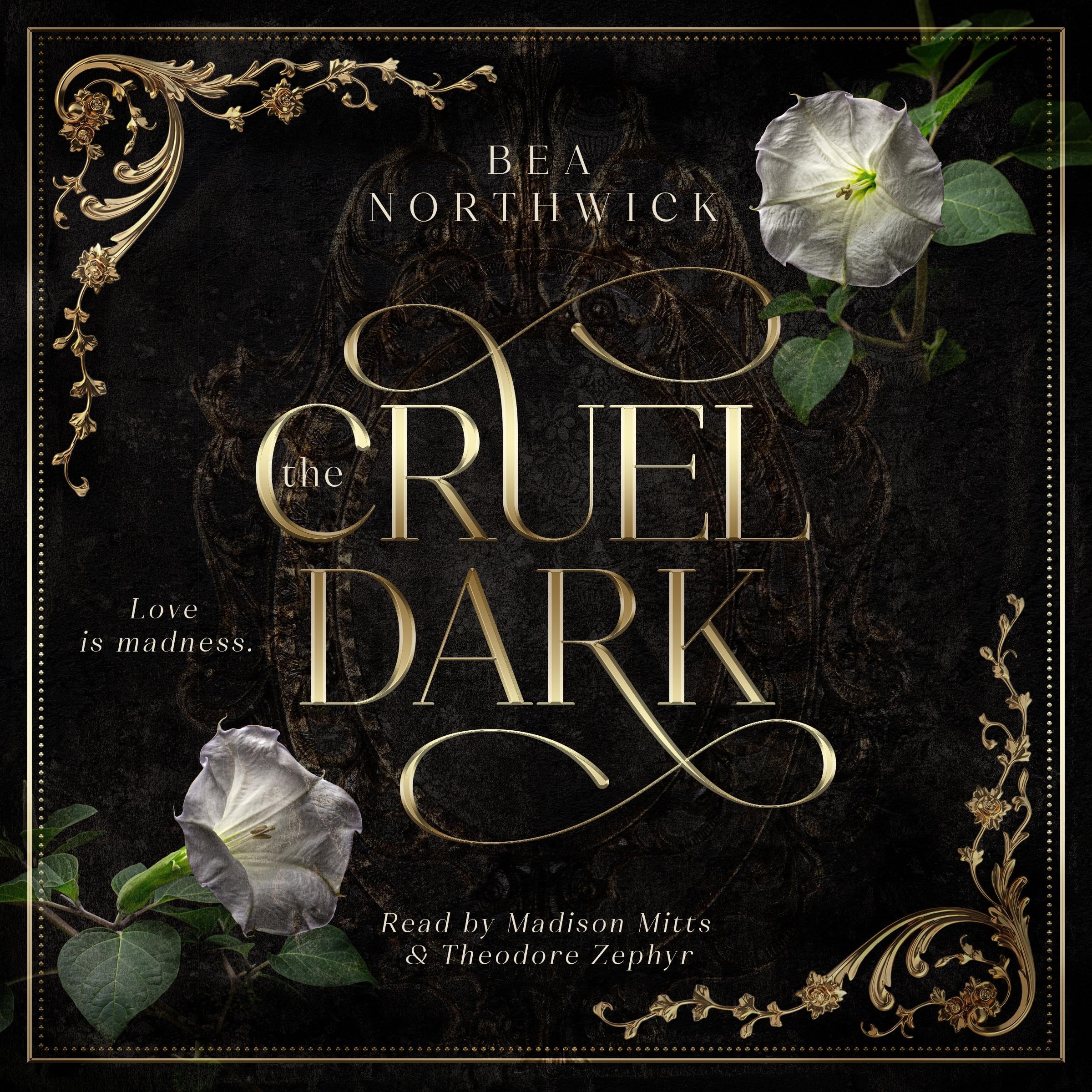 Cover art for The Cruel Dark