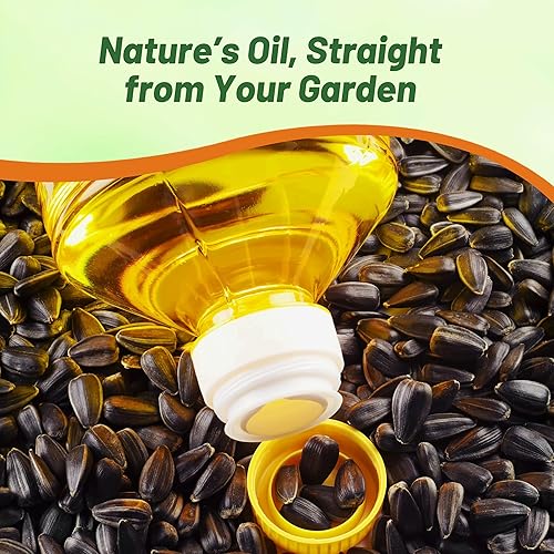 Miniatura 5 de Outsidepride Semillas de girasol de cereza de chocolate para plantar, 14 libras. Semillas anuales de flores fáciles de cultivar con flores vibrantes