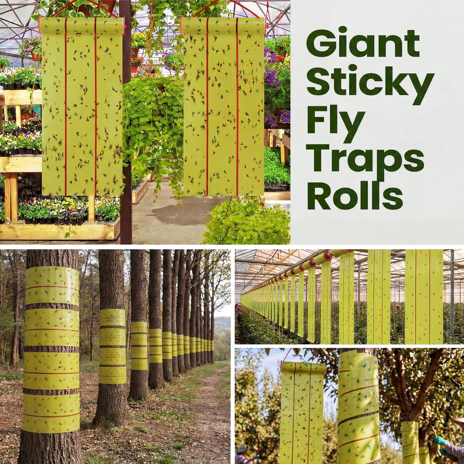 Qualirey Giant Sticky Fly Traps,30 Feet Fly Strips for Indoor Outdoor Hanging Flying Tapes Non Toxic Ribbon Fruit Gnat Killer for Mosquito Plants House Horse Stable (Yellow,2 Pcs)