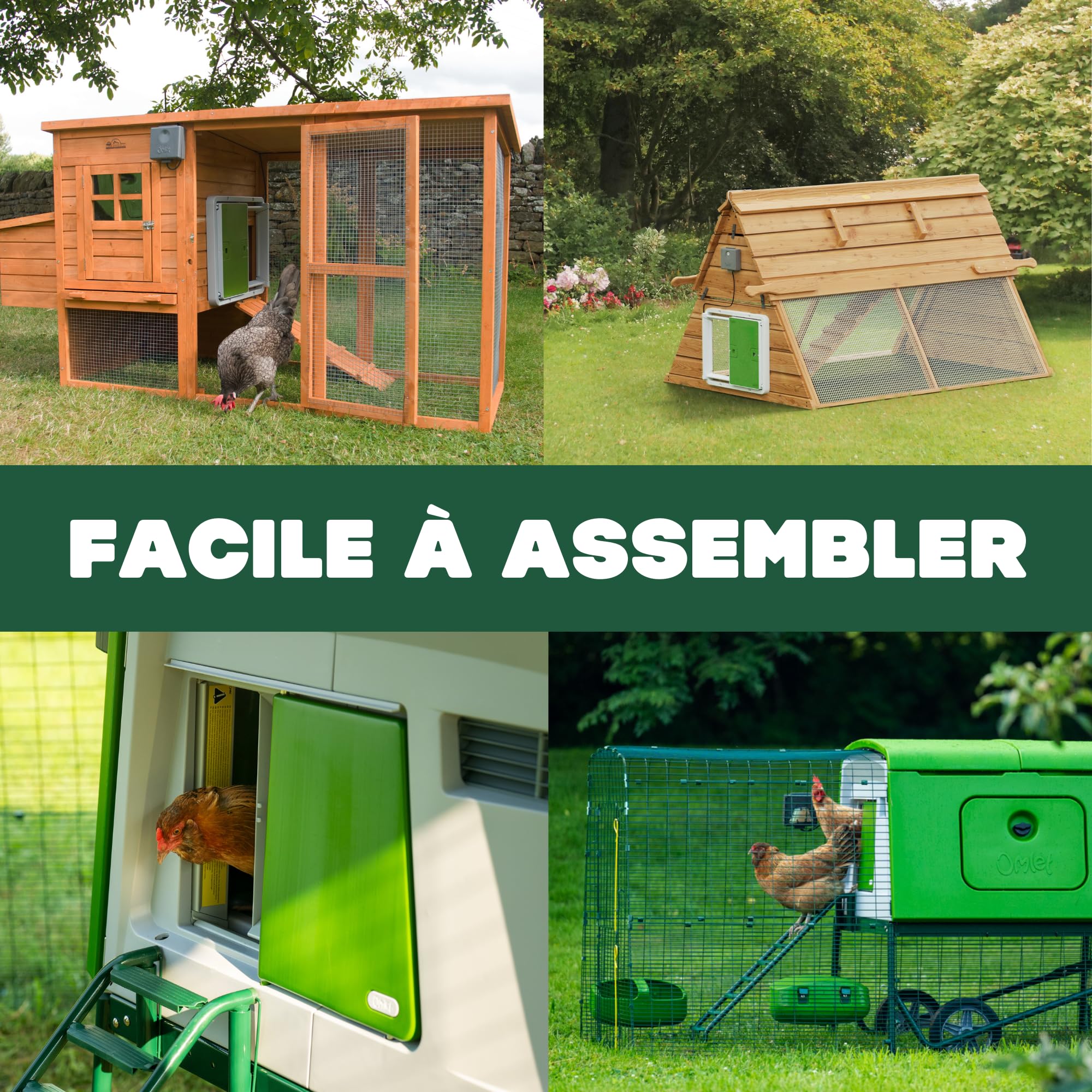 Omlet Porte de Poulailler Automatique | Ouverture et Fermeture par Capteur de Lumière ou Minuterie | Facile à Installer et sans Entretien | Sécurité Renforcée et Meilleure Isolation | Vert