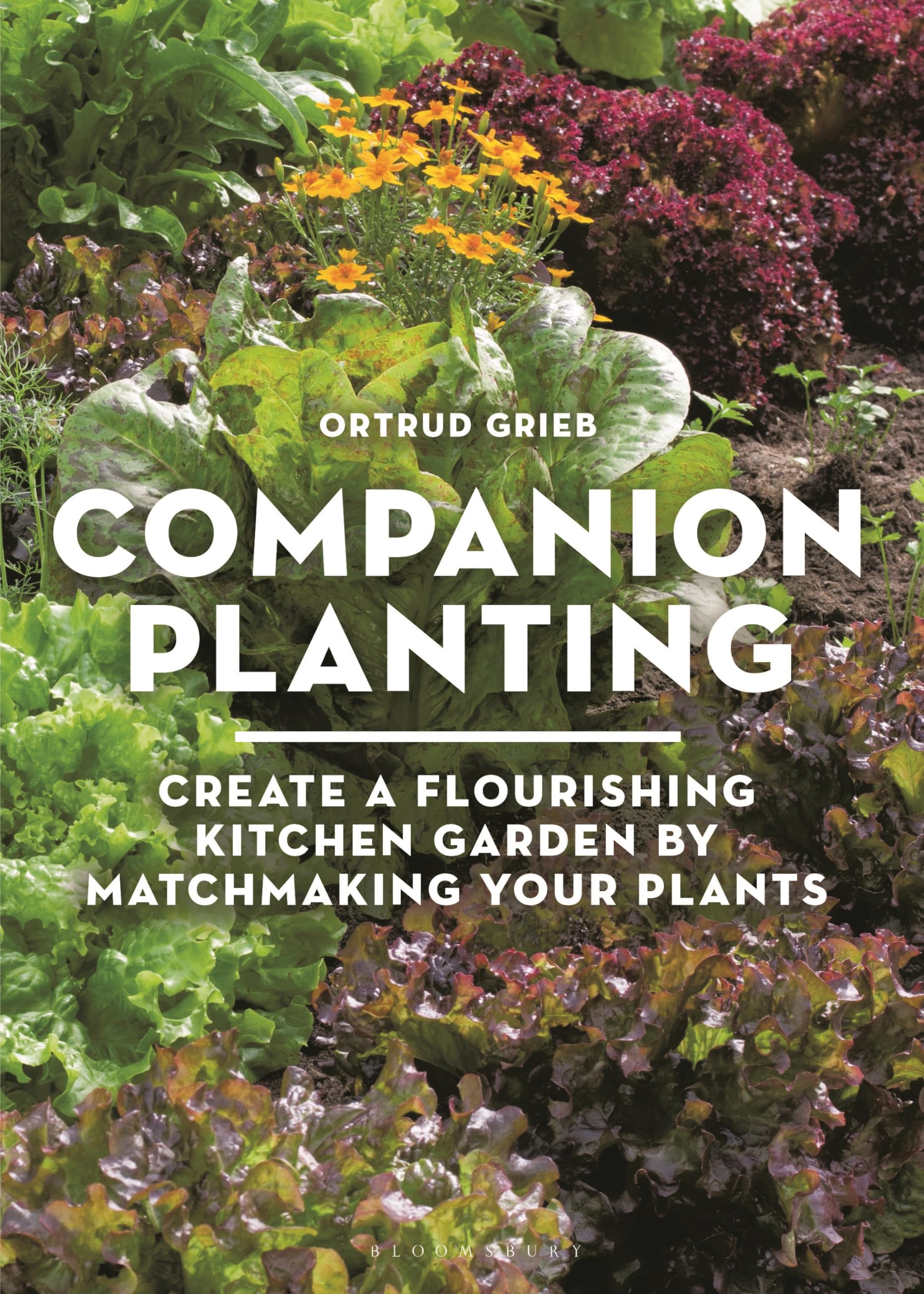 Companion Planting: Create a Flourishing Kitchen Garden By Matchmaking Your Plants