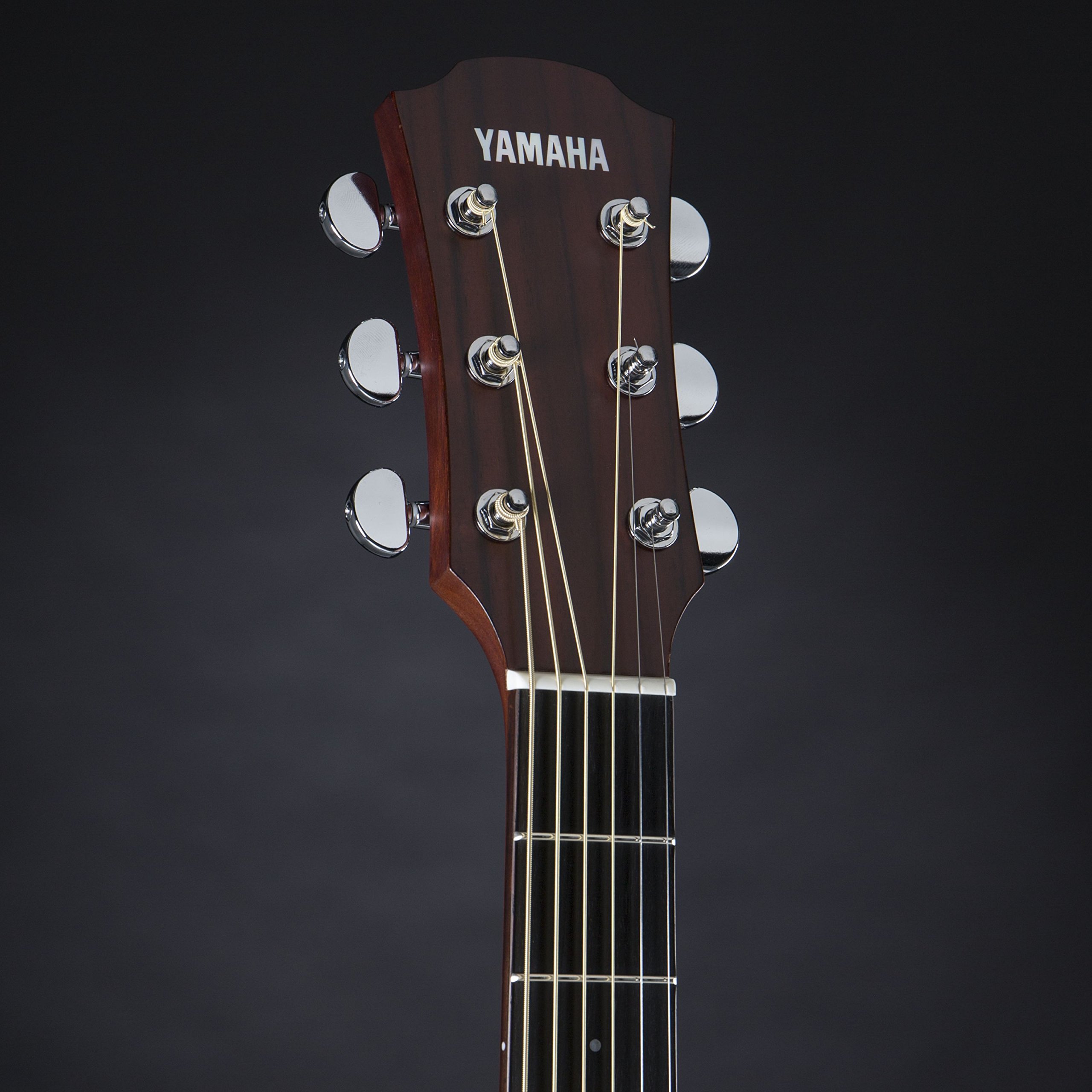 Amazon | ヤマハ YAMAHA エレアコギター A3R VN ARE | エレアコ