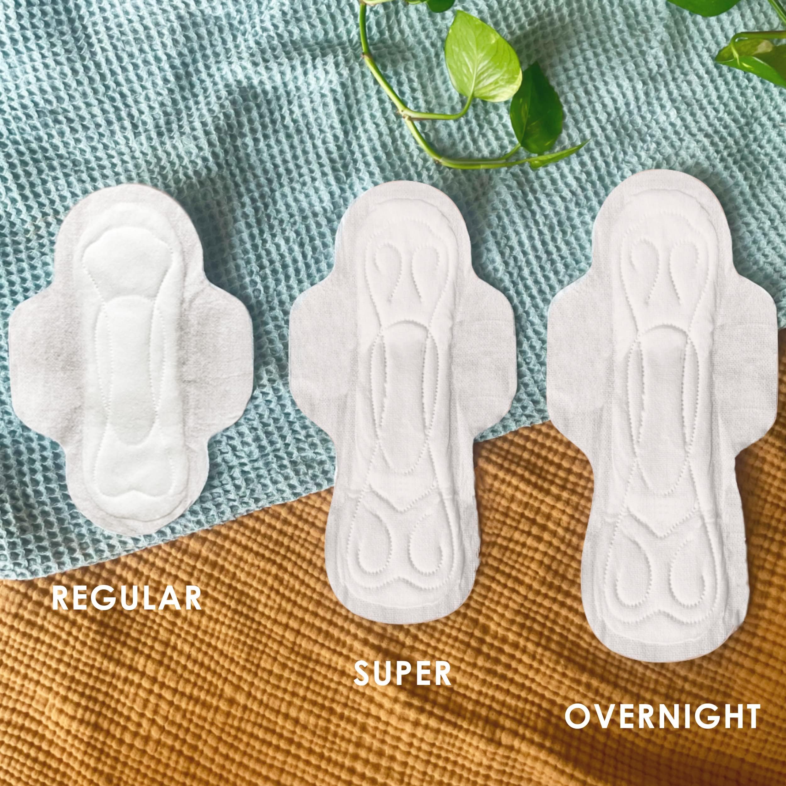 L. , Organic Cotton Ultra Thin Pads for Women, Super Absorbency, With Wings, 42 Count