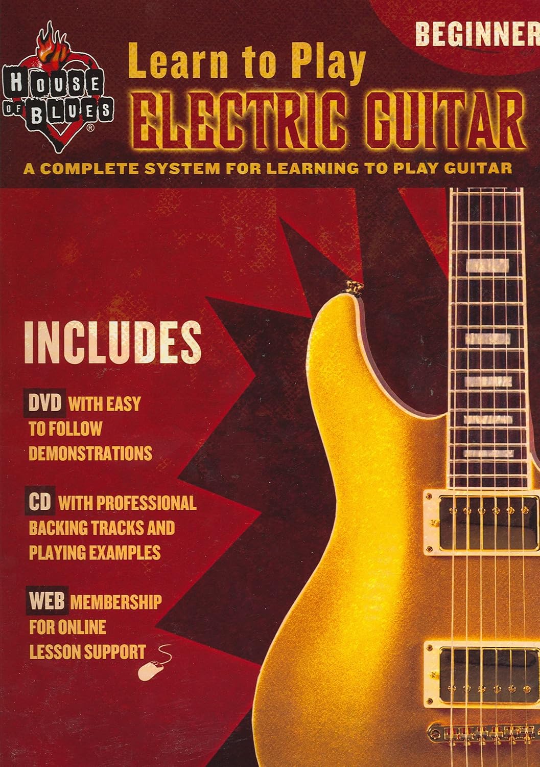 Learn To Play Electric Guitar, Beginner Level
