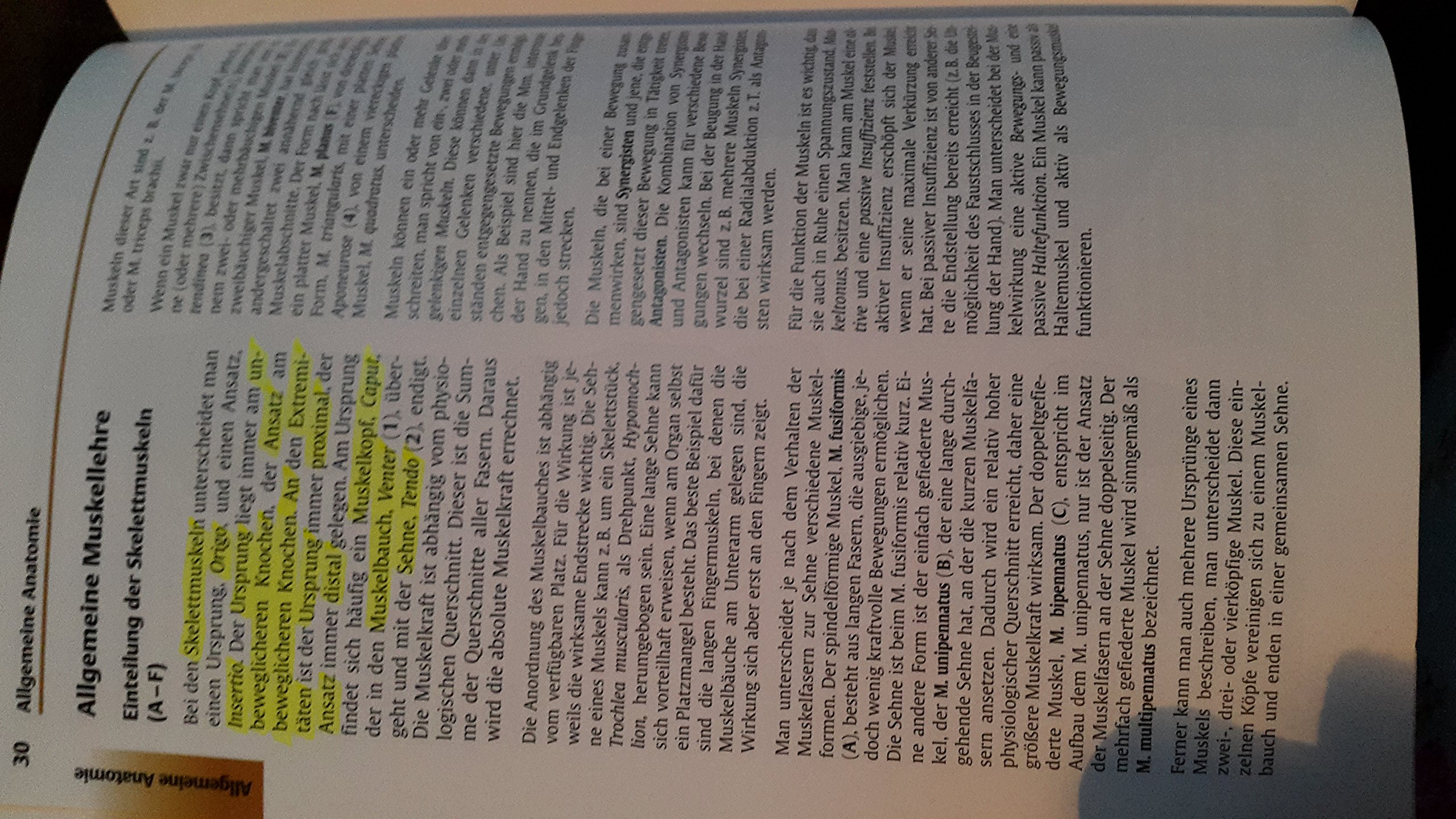 Taschenatlas Anatomie, Band 1: Bewegungsapparat