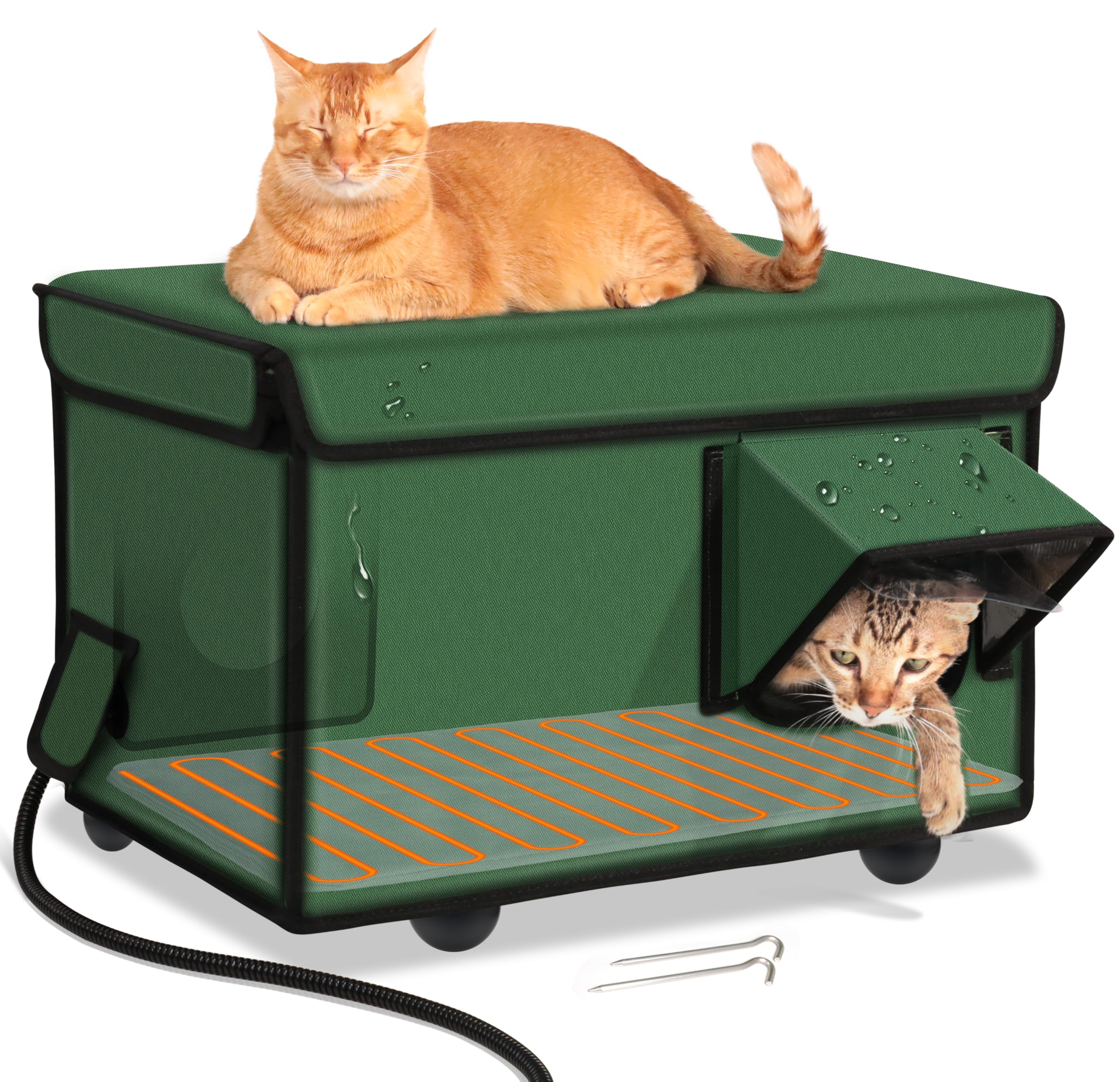 Stray Cat Train Outdoor Cat To Use Litter Box Stray Cat Litter Box