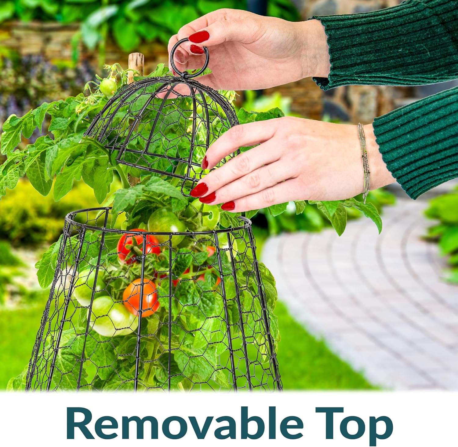 Sunnydaze 4 x 8 ft Gray Galvanized Steel Rectangular Raised Garden Bed and 6-Pack Chicken Wire Plant Protector Cages