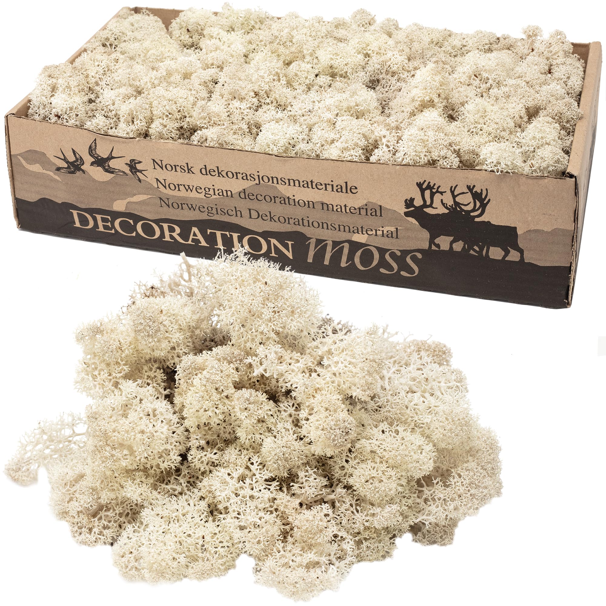 Cartone di muschio islandese naturale, 500 g