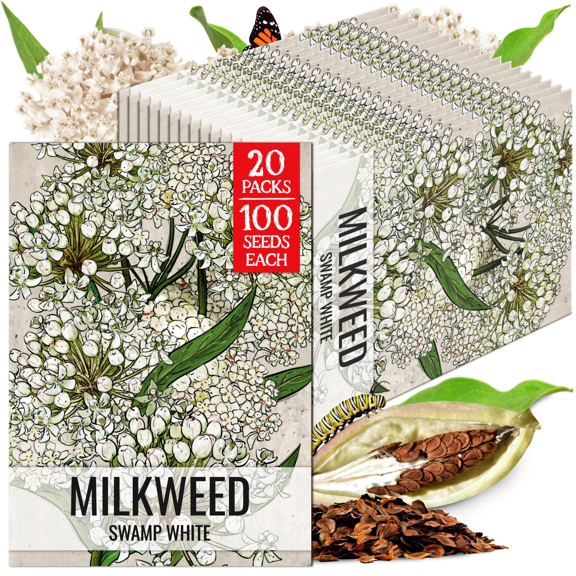 Seed Needs White Swamp Milkweed Seeds for Monarch Butterflies 20 Pack