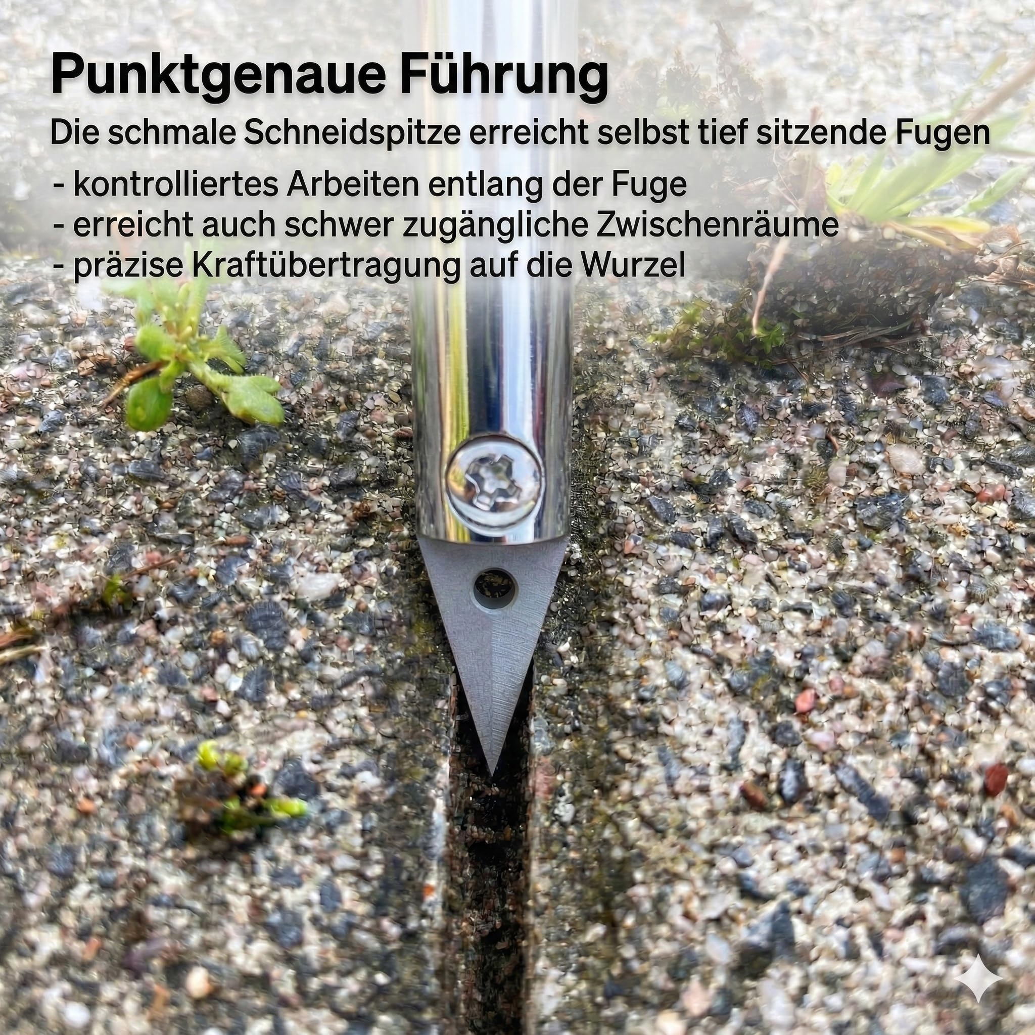GIGANT Fugenkratzer mit Stiel Fugenreiniger Unkrautkratzer Schneide aus Vollhartmetall verschleißfest wendbar Handgriff inkl. Teleskopstiel und Ersatzschneide