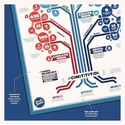 Miniatura 3 de El árbol del gobierno  Póster de aula de 16 x 20 pulgadas  Estudios sociales  Historia de los Estados Unidos  Ciudad  Gobierno