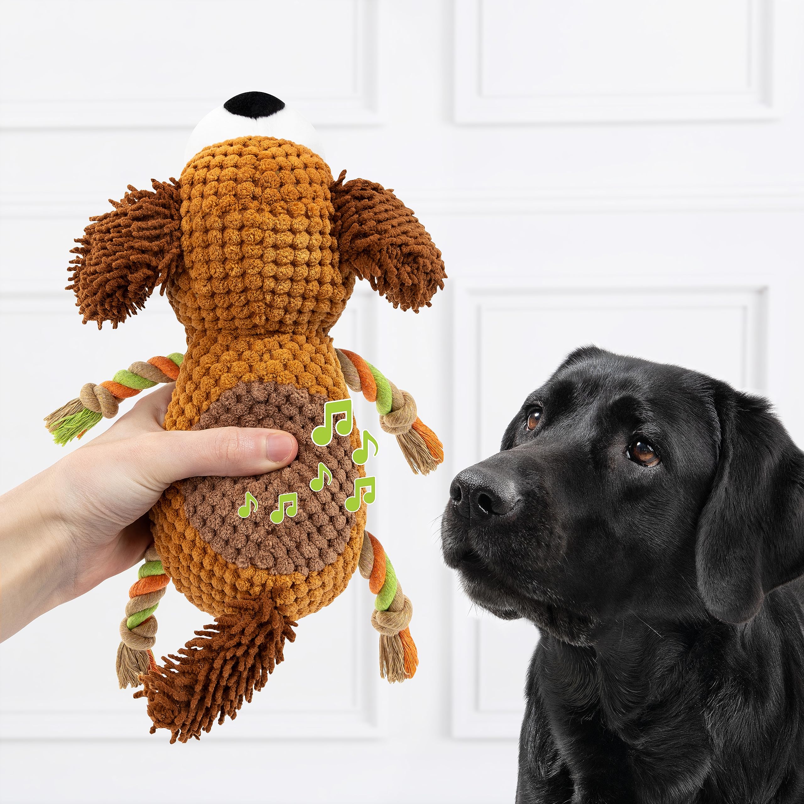 Peluche Per Cani MYPETSTOCK Con Squeak E Corda - Giocattolo Interattivo Indistruttibile