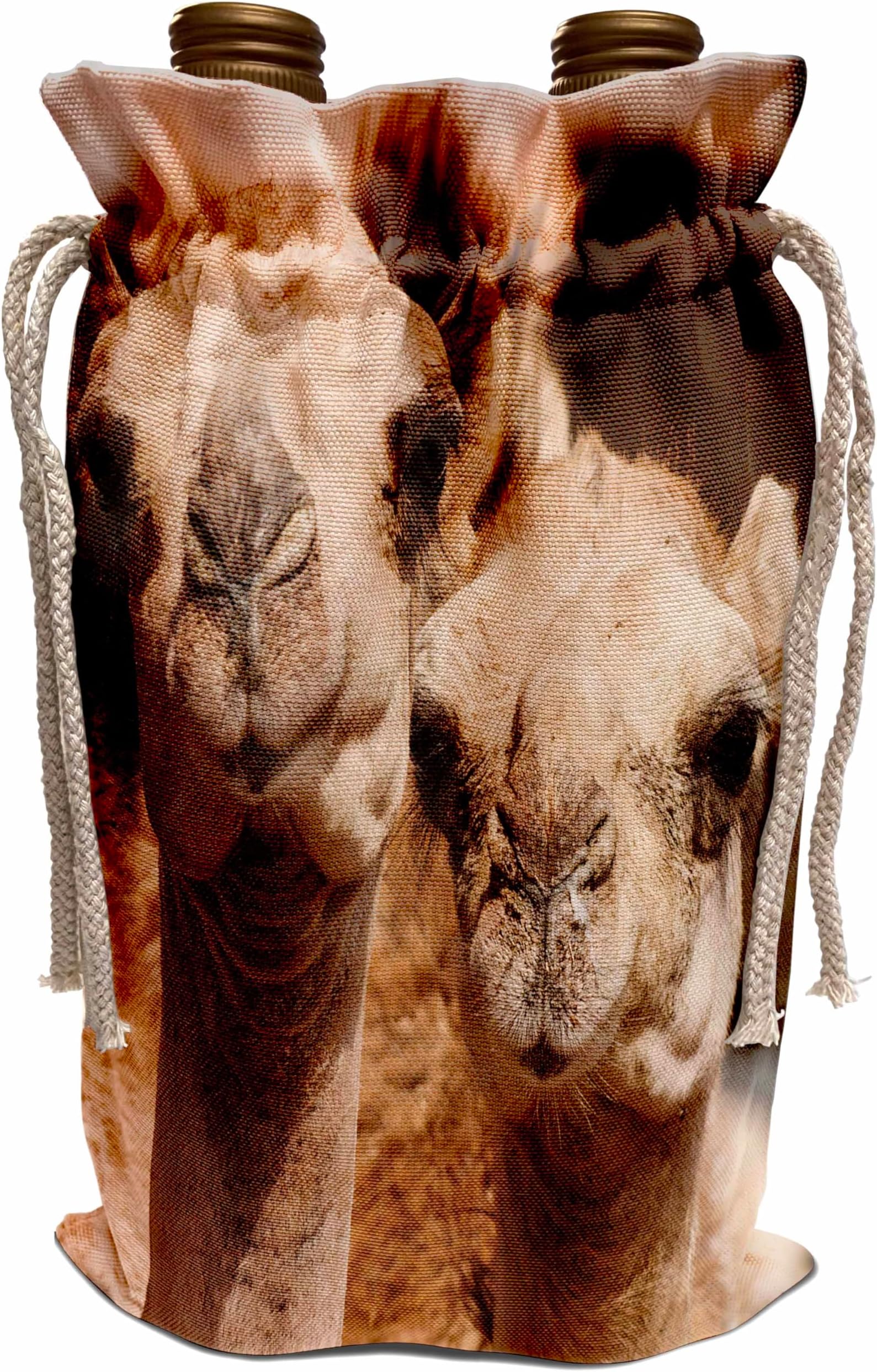 Wine Bag - Camels in Al Ain, Dubai, United Arab Emirates. Camels