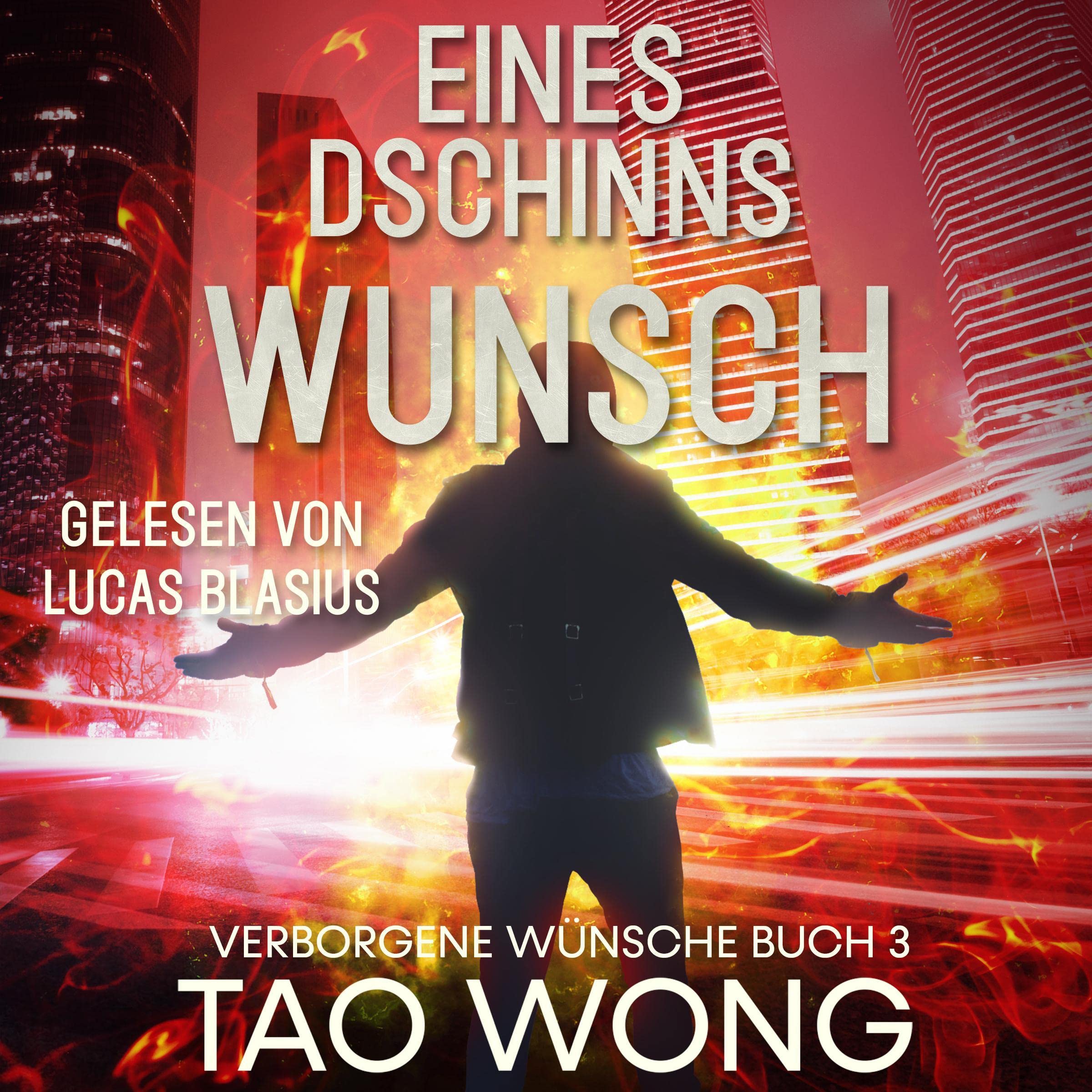 Cover art for Eines Dschinns Wunsch [A Djinn's Wish]
