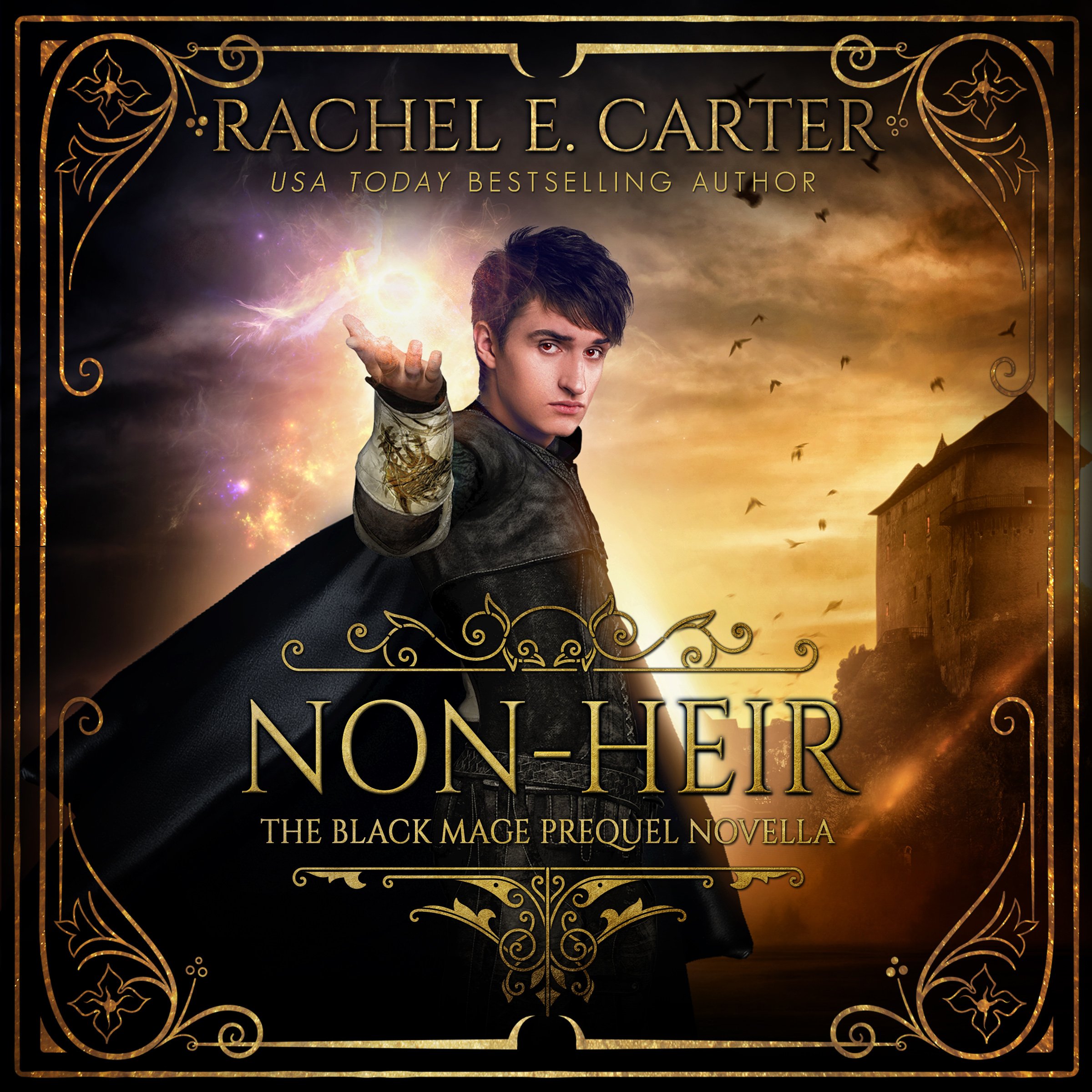 Cover art for Non-Heir