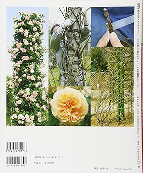 91IlFhtTmqL._AC_UF350,