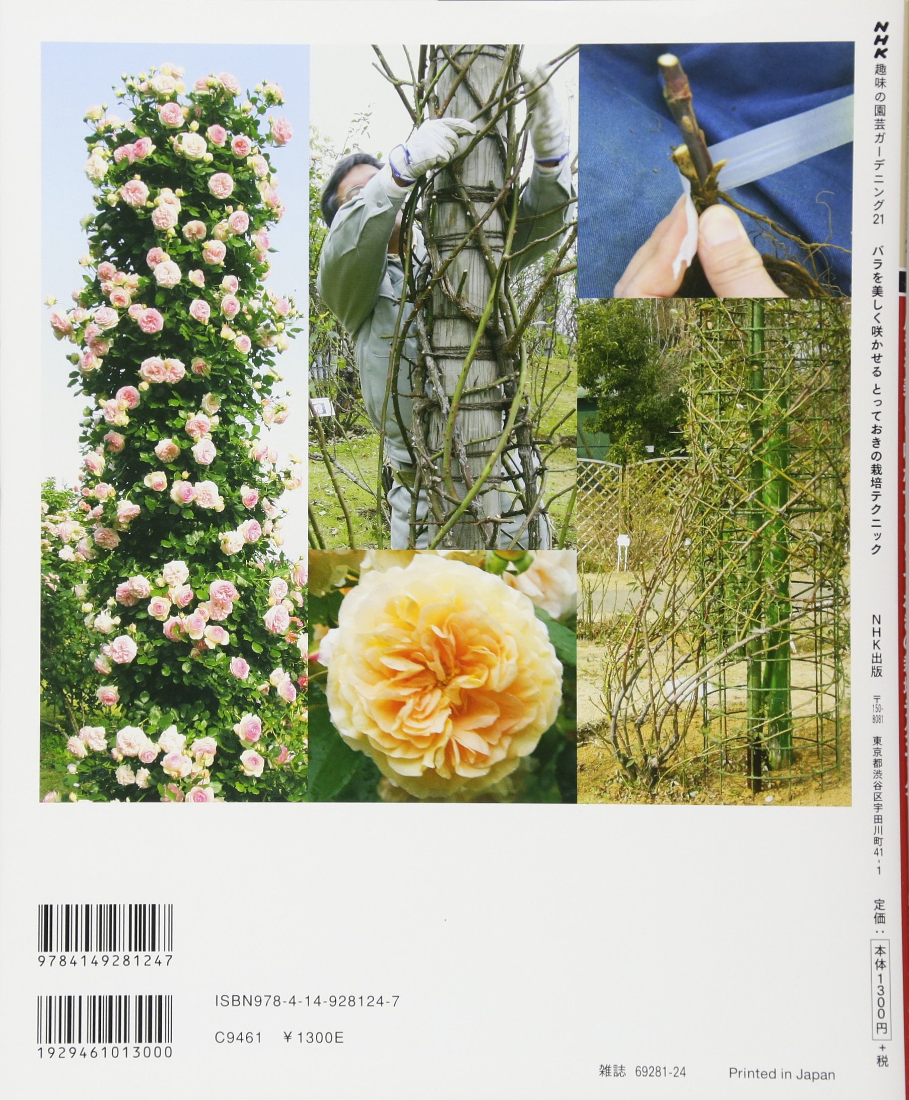 バラを美しく咲かせる とっておきの栽培テクニック Nhk趣味の園芸ガーデニング21 鈴木 満男 本 通販 Amazon
