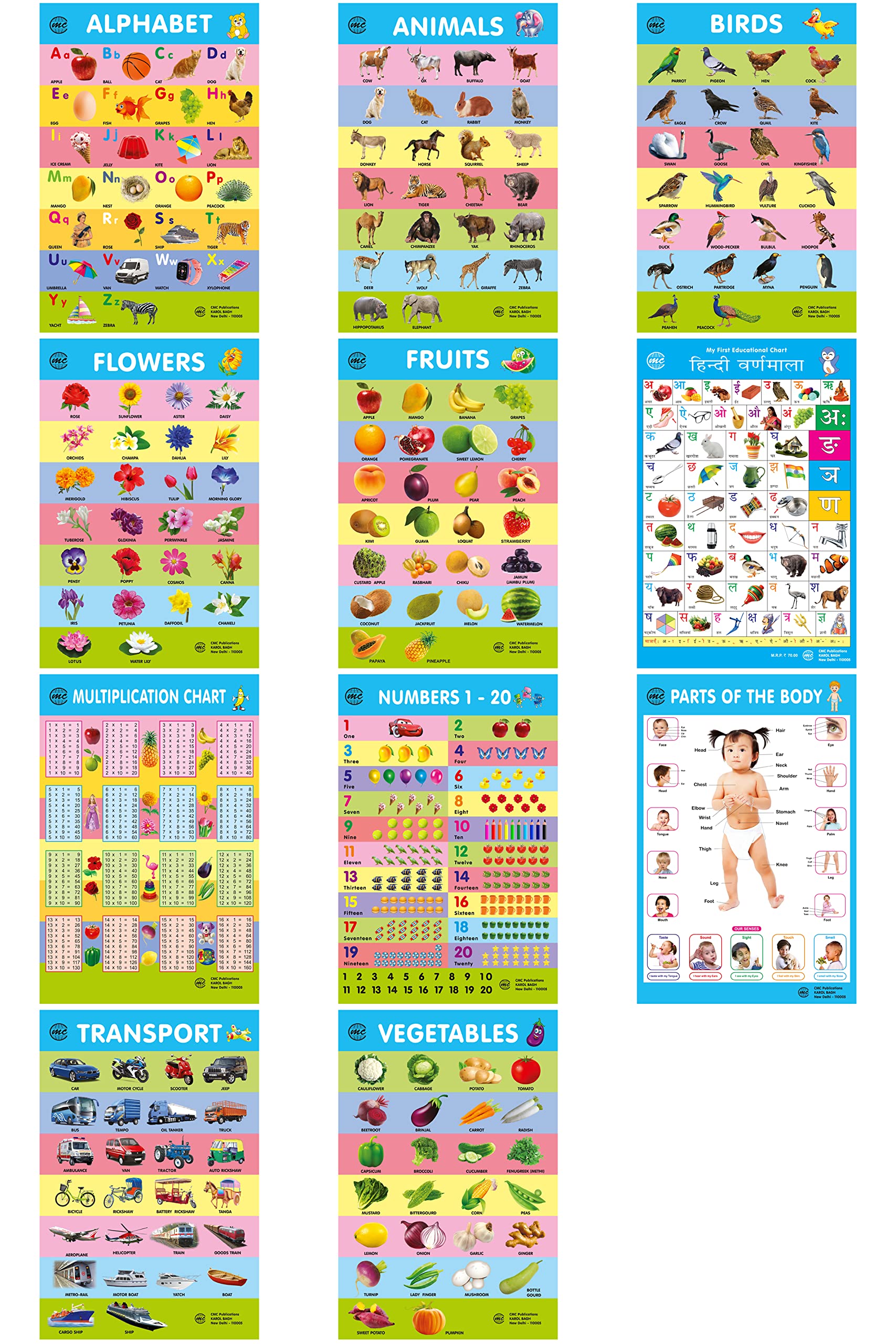 My First Early Learning Educational Charts for kids| Set of 10| Perfect for home schooling , Kindergarten & Nursery students | Size 12" x 18" Inches| English Alphabet , Hindi Alphabet , Numbers , Fruits ,Vegetables , Animals , Birds , Shapes & Colour , Parts Of Body , Multiplication