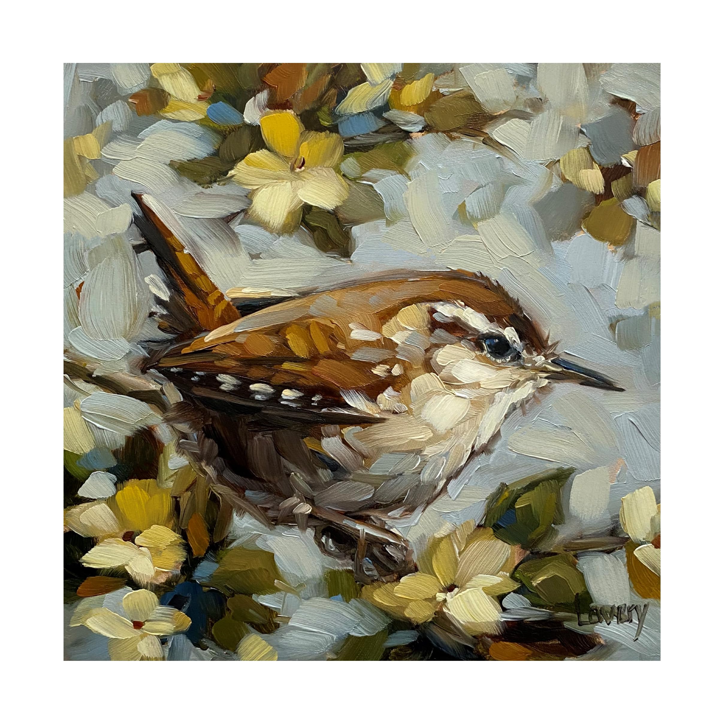 Trademark Fine Art Canvas Wall Art - Andrea Lavery Carolina Wren Wall Art for Living Room Bedroom or