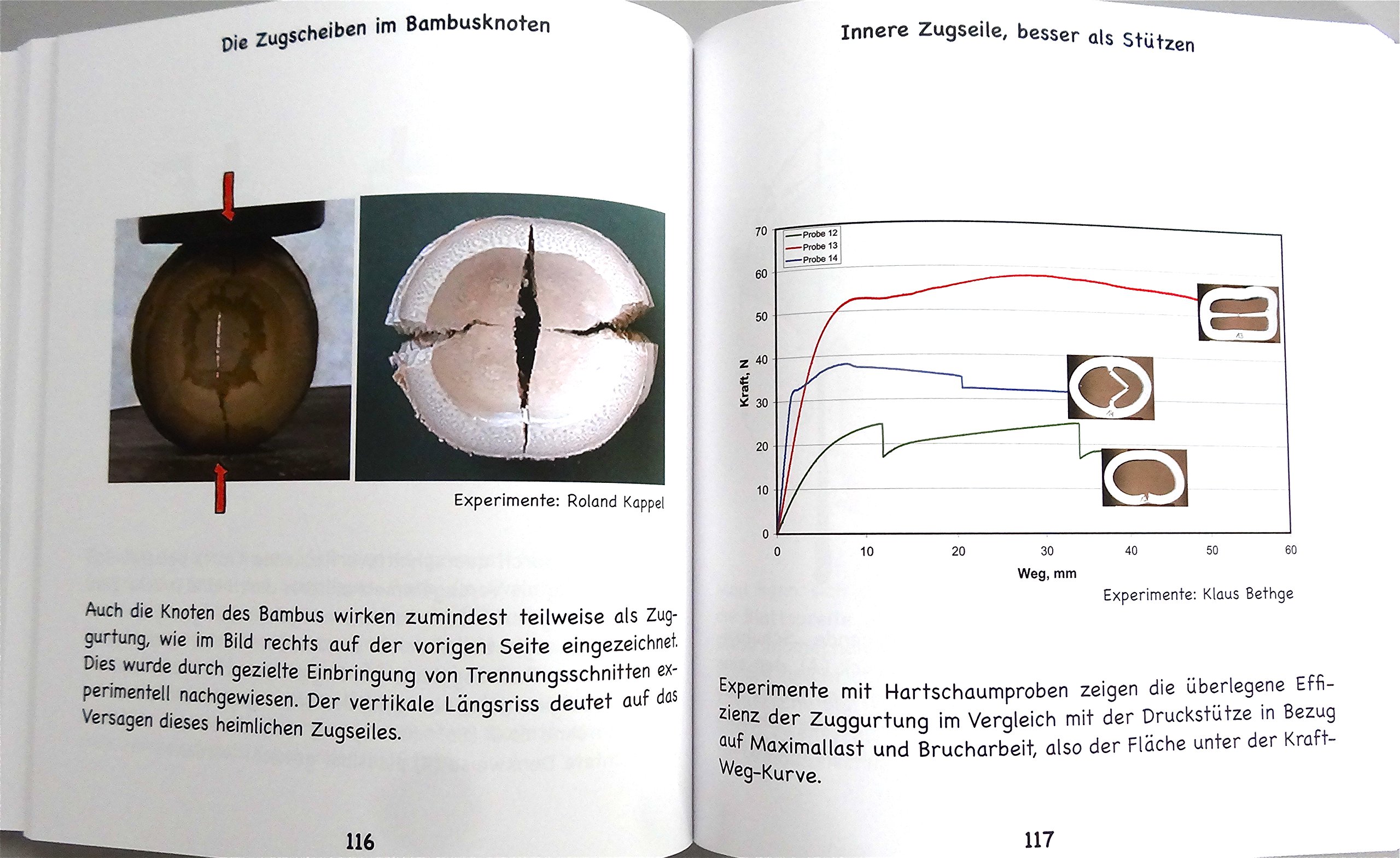 Denkwerkzeuge nach der Natur