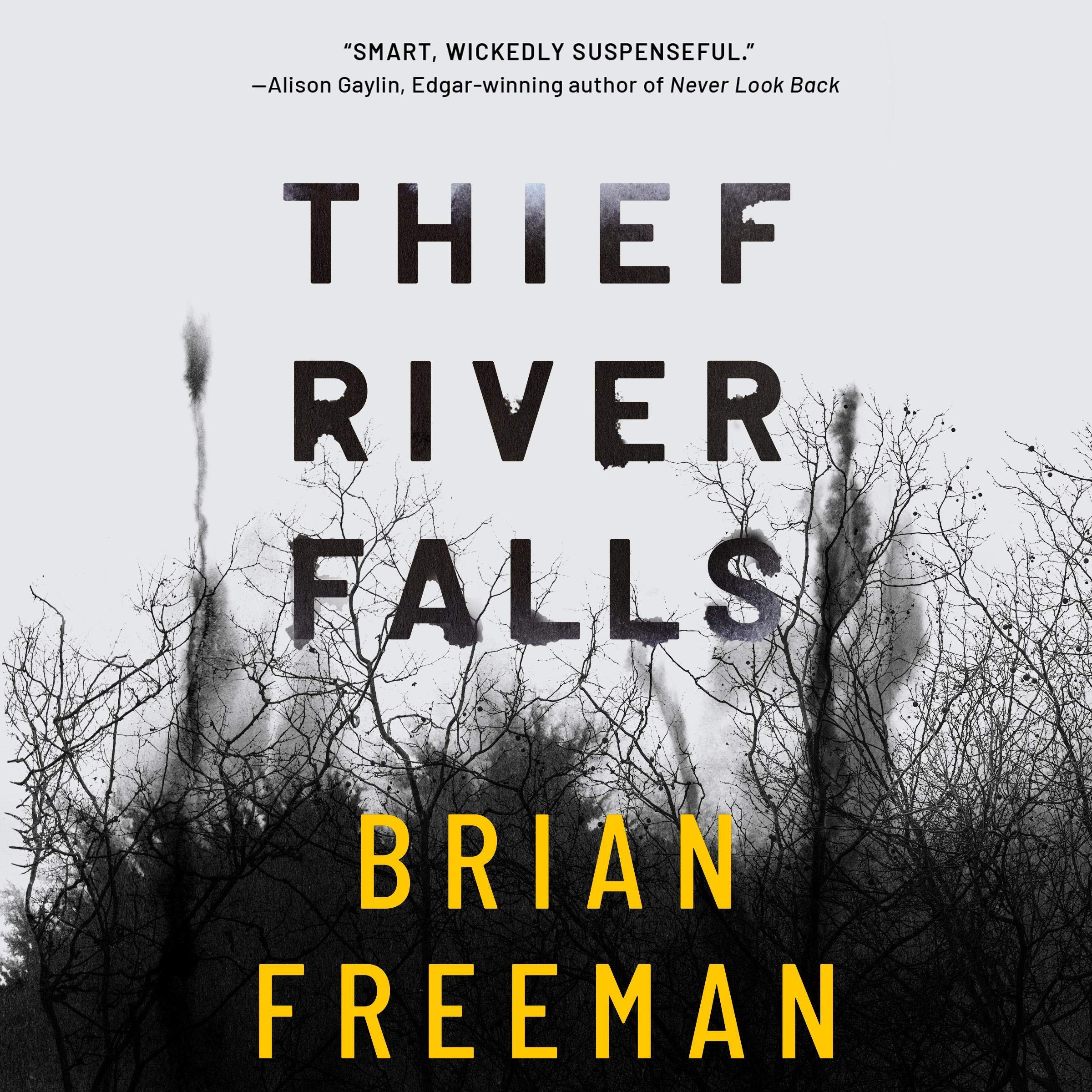 Cover art for Thief River Falls