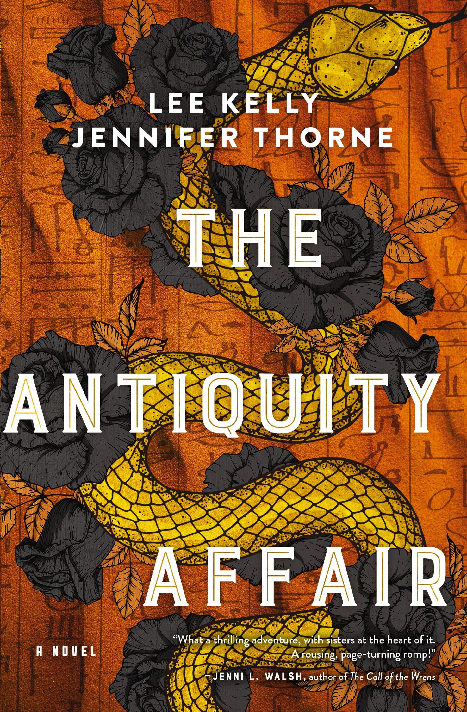 The Antiquity Affair: A Novel