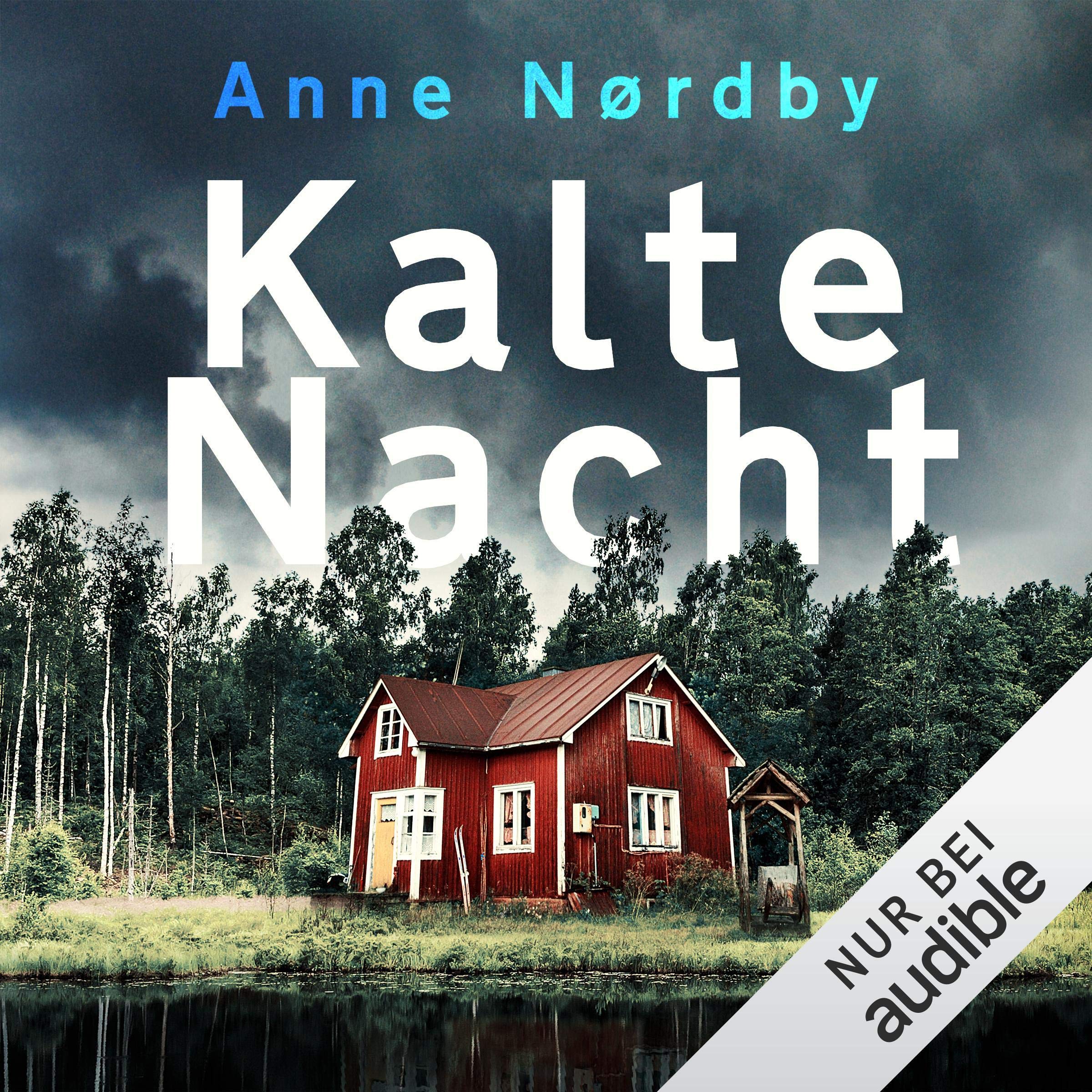 Cover art for Kalte Nacht