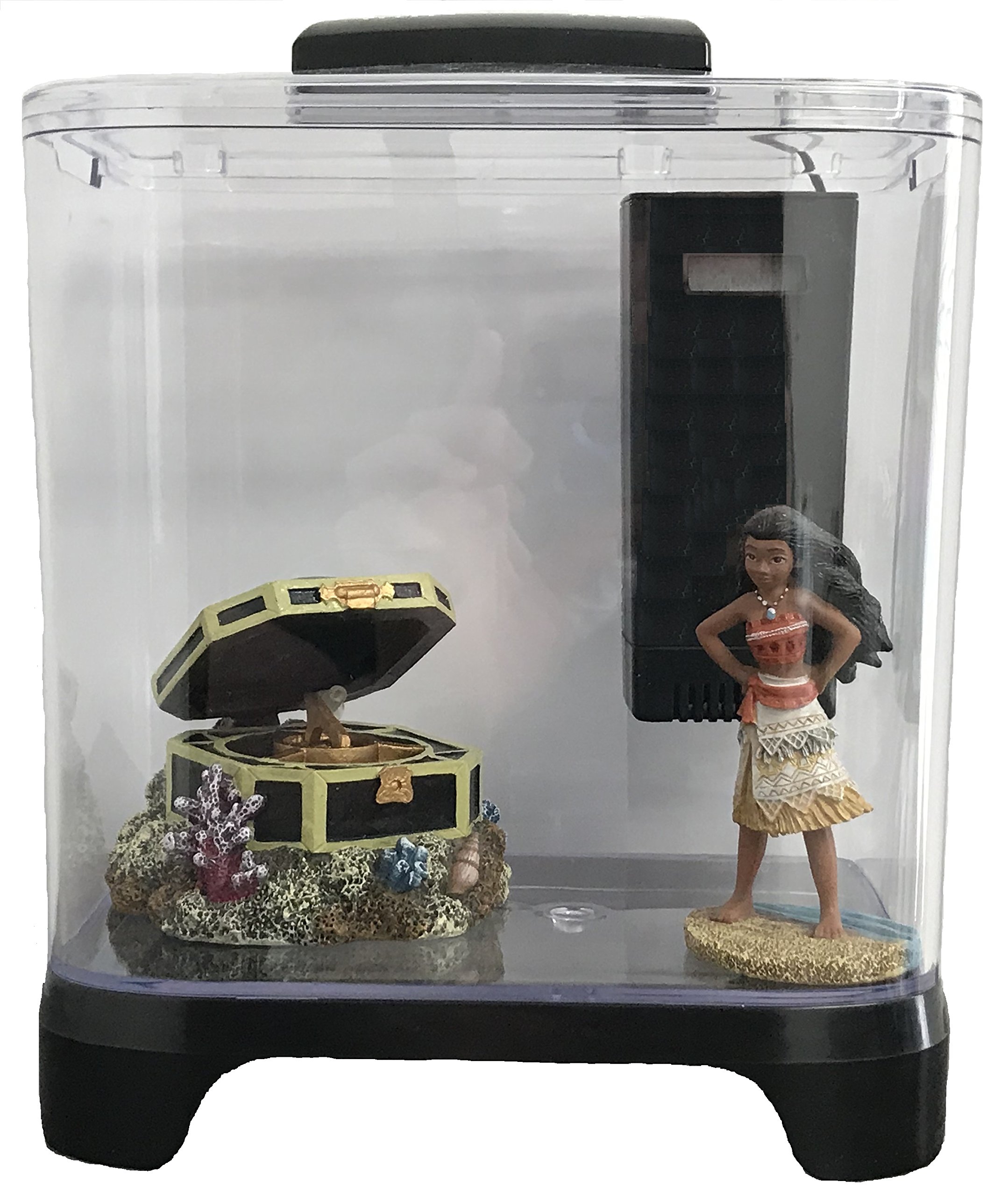 Penn Plax Betta Kit d'aquarium avec lumière LED et Filtre Interne, Taille de Bureau, 5 l