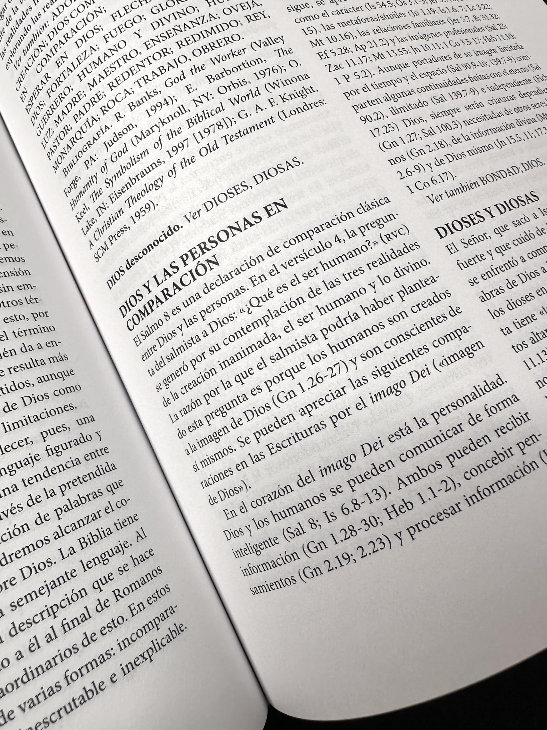 Gran Diccionario Enciclopédico de imágenes y símbolos de la biblia (Diccionarios IVP)