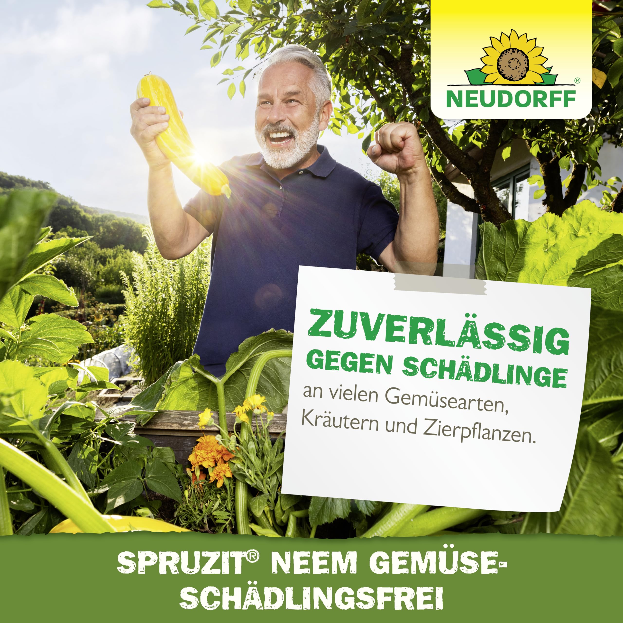 Neudorff Spruzit NEEM - Concentrato per la lotta contro parassiti come afidi, moscerini e bruchi su verdure ed erbe, 75 ml