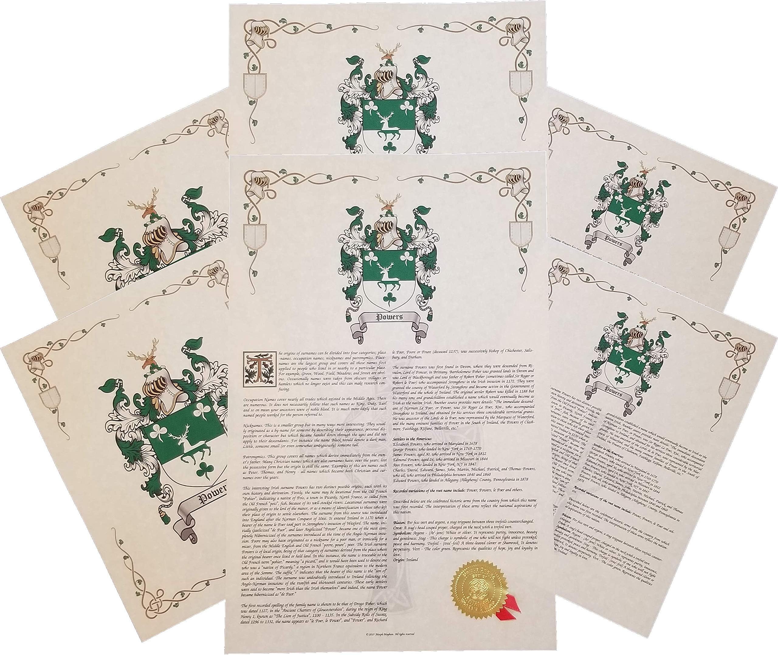 Feeney - Last Name Coat of Arms, Family Crest and History Print Set (2 Pack)