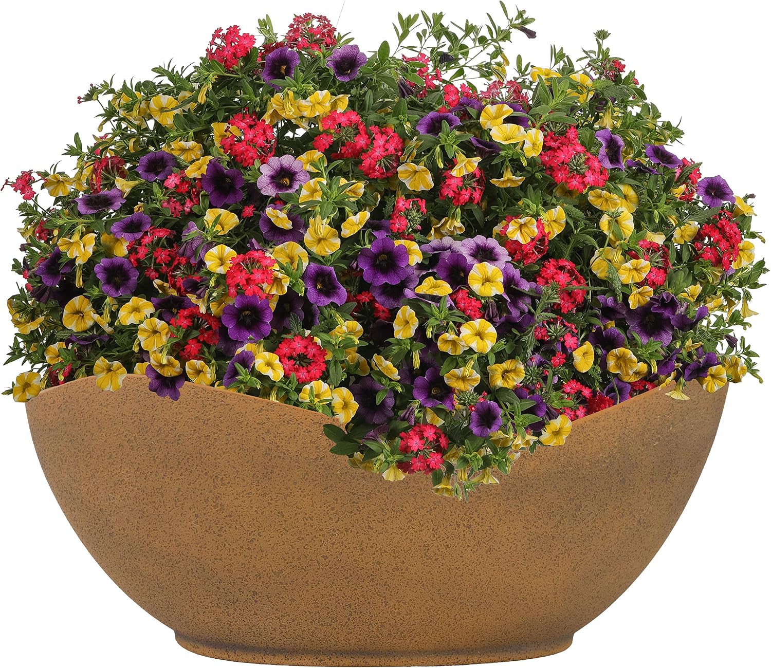 Classic Home and Garden Arc Pot 12" - Georgia Clay
