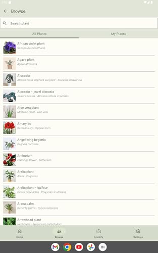 Plant Care - Identify Flowers