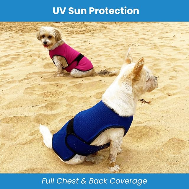 Foto 4 de 7 de Dogzstuff Chaleco de enfriamiento para Perros, Chaqueta Ligera con tecnología de Microfibra evaporativa