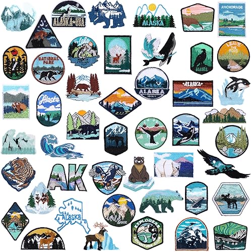 Hotop 48 piezas de parches de Alaska para planchar, bordados con osos polares, ballenas, leones marinos, focas, renos, elementos naturales para