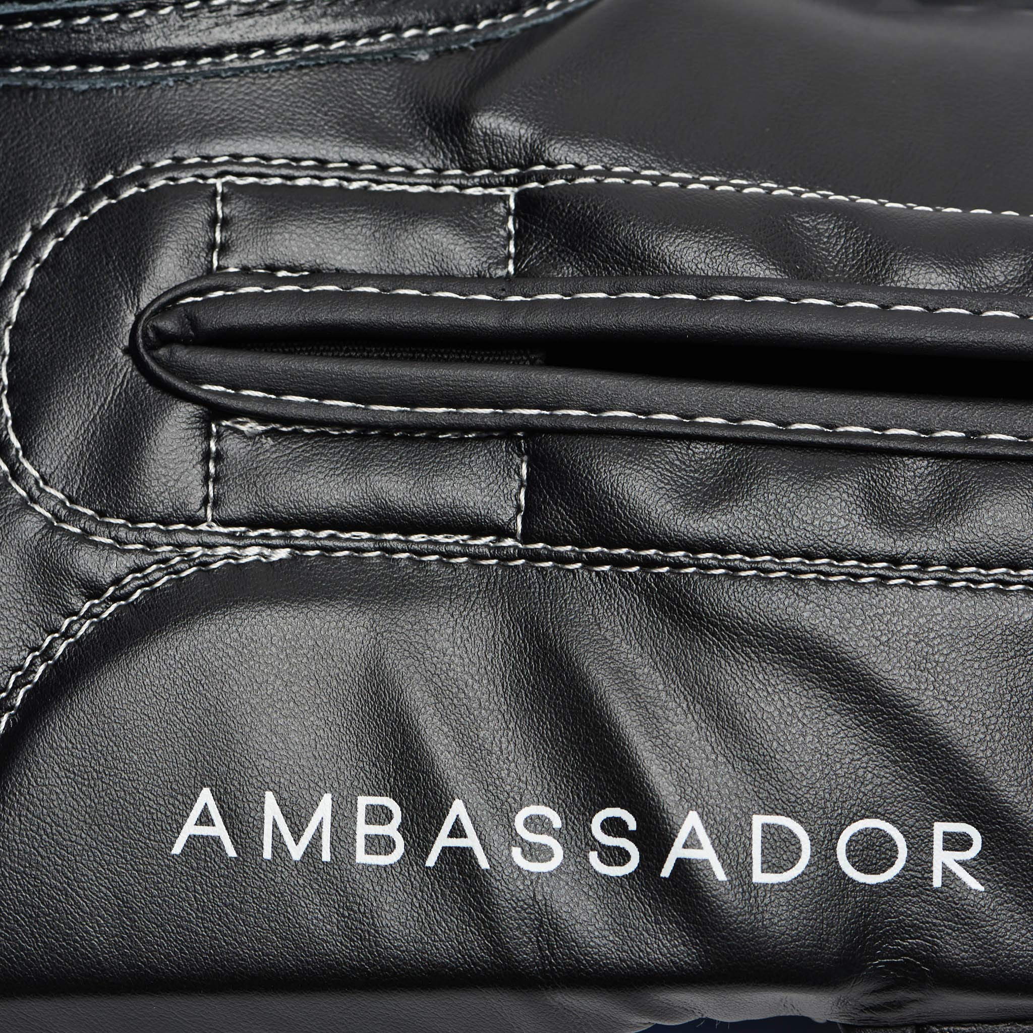 LEONE 1947 Ambassador, Guantoni da Boxe Unisex Adulto