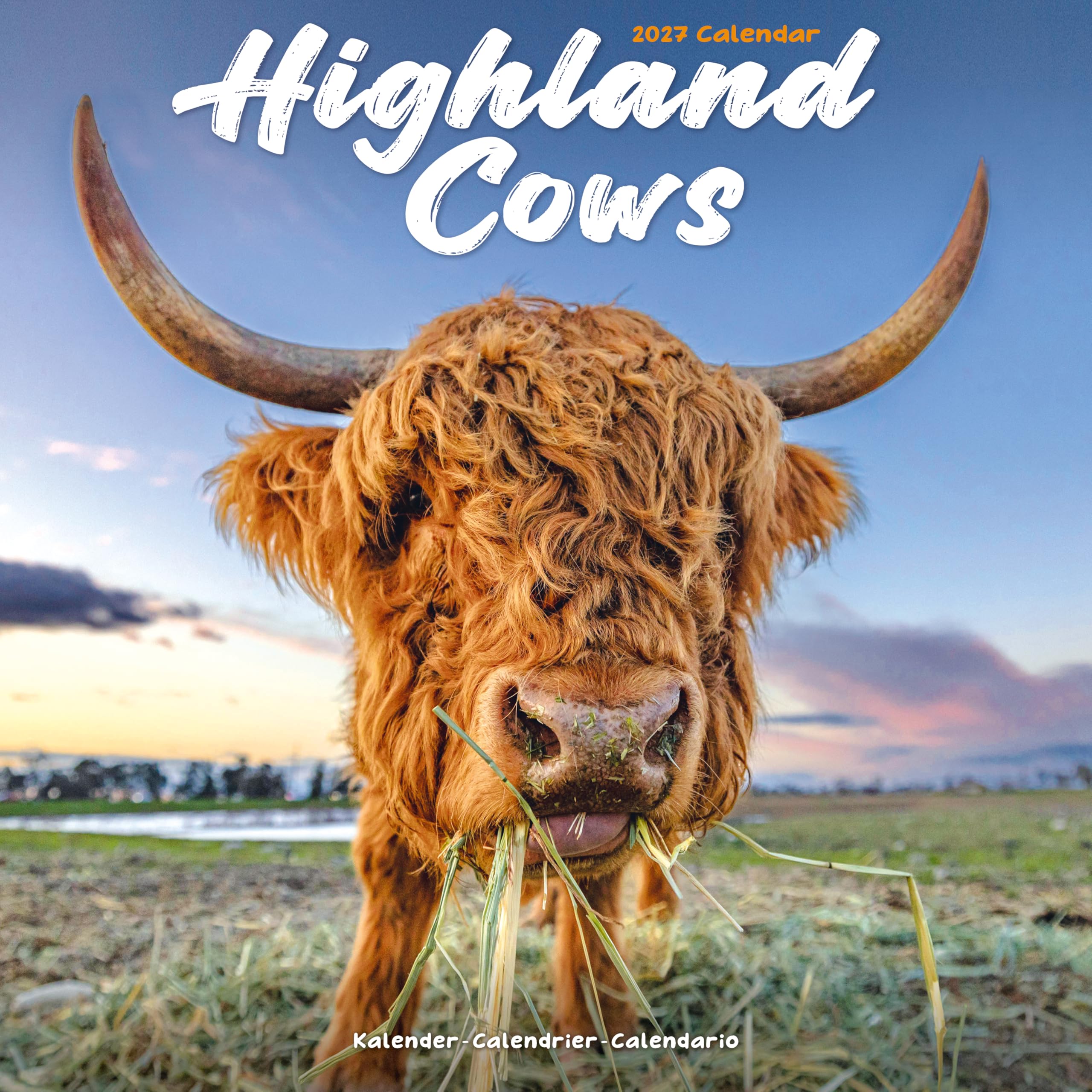 Highland Cows Calendar 2027