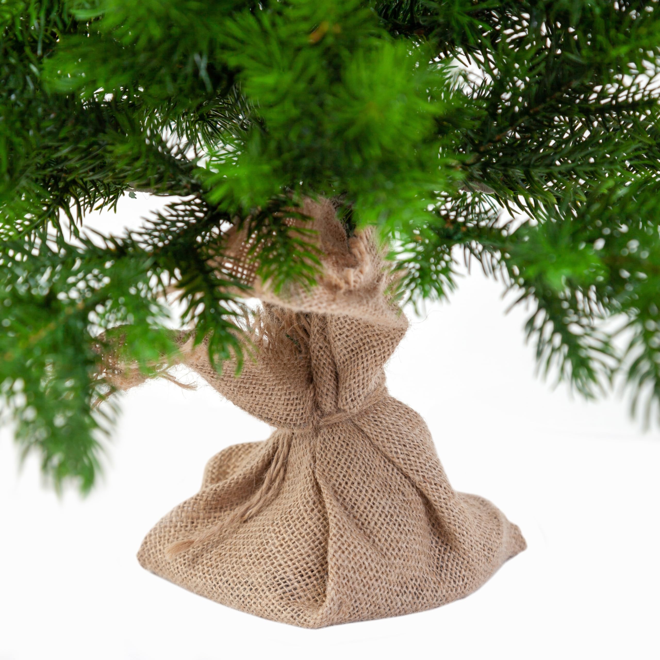 EveXmas – Altair 65cm – Künstlicher Weihnachtsbaum Realistischer Mini Tannenbaum aus 100% PE Spritzguss Nadeln, Premium Tisch Weihnachtsbaum für Weihnachtsdeko Zuhause