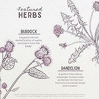 Vista 4 de WishGarden Herbs Tónico de fuerza hepática - Suplemento de apoyo hepático a base de plantas con bardana, raíz de diente de león y raíz de muelle