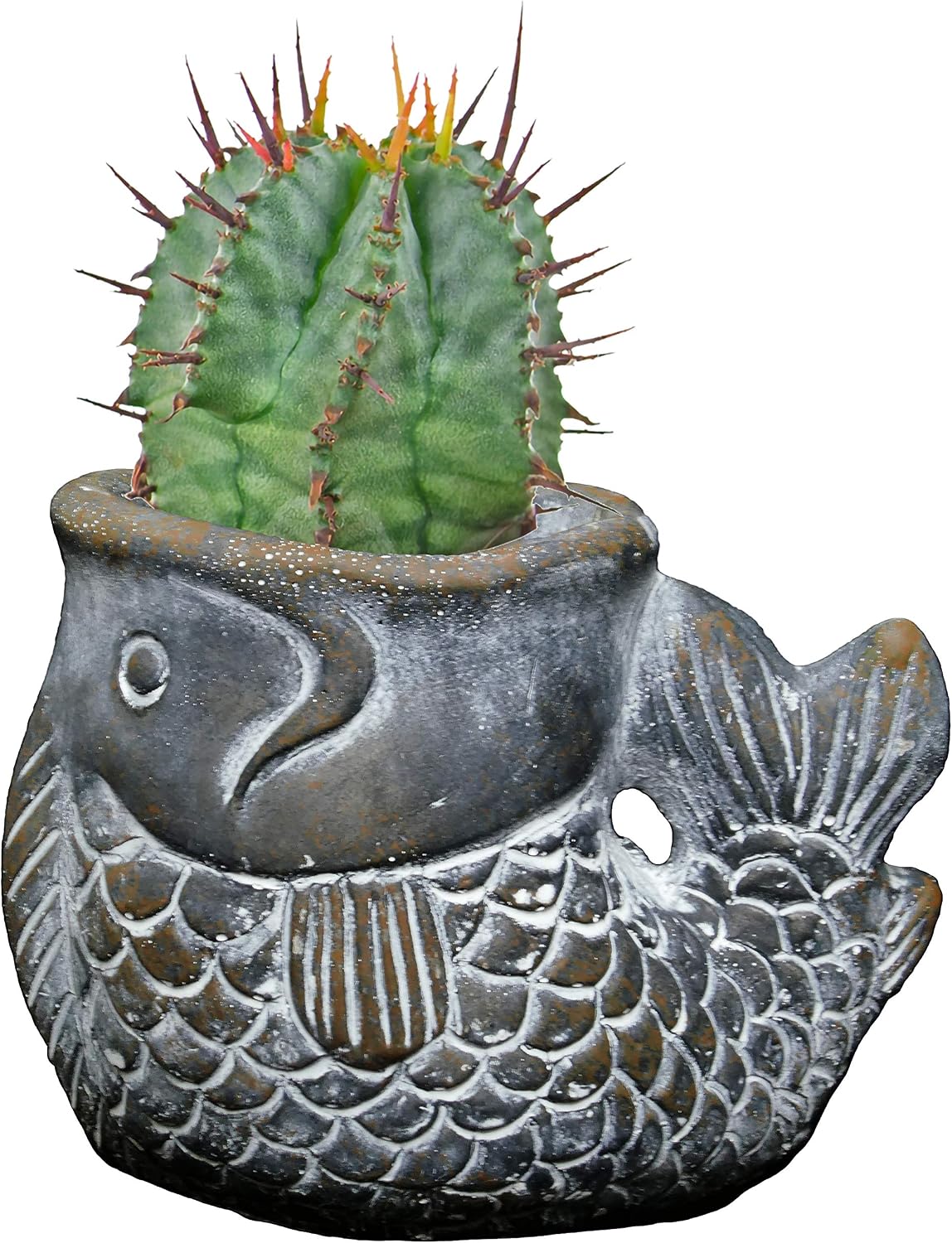 Classic Home and Garden Cement Buddies Animal Planter - Cute Desk Decoration - UV Coated Animal Vase w/Removable Drain Plug -Succulent Planter for Indoor/Outdoor Use (Largemouth Bass, Bronze, Small)