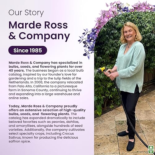 Miniatura 7 de Red Flanders - Semillas de amapola para plantar, más de 50,000 semillas de flores frescas, cultivadas en los Estados Unidos, flores silvestres que