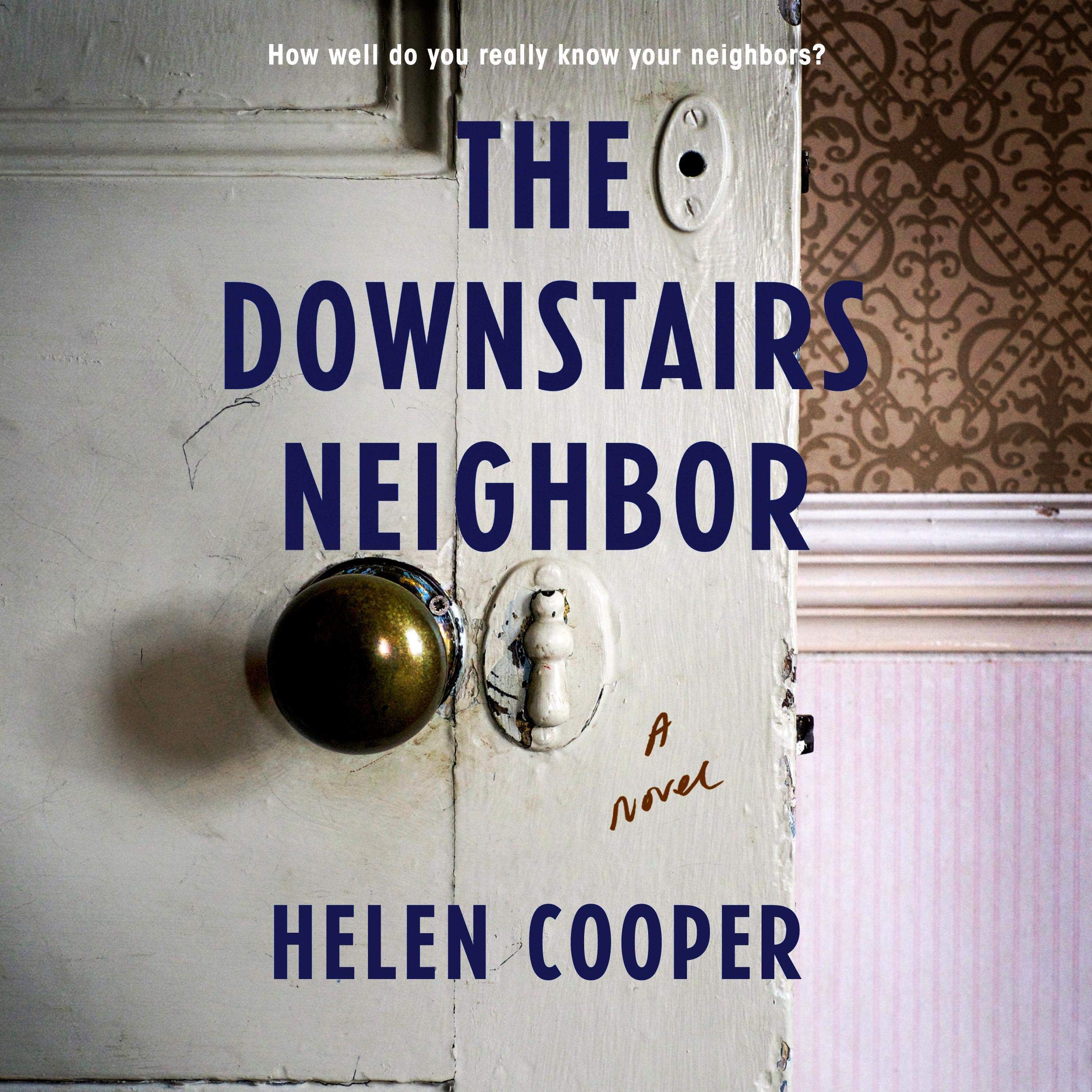 Cover art for The Downstairs Neighbor