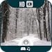Winter Forest HD