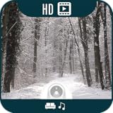 Winter Forest [+1h Music]