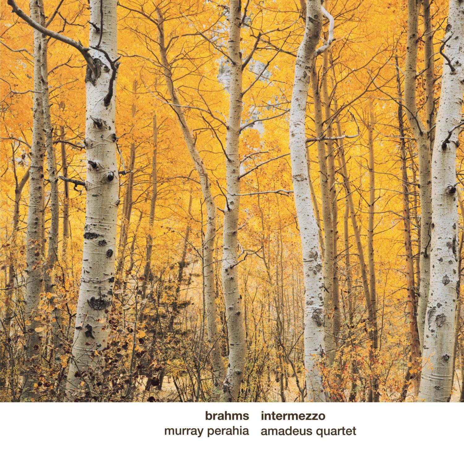 Brahms: Intermezzo