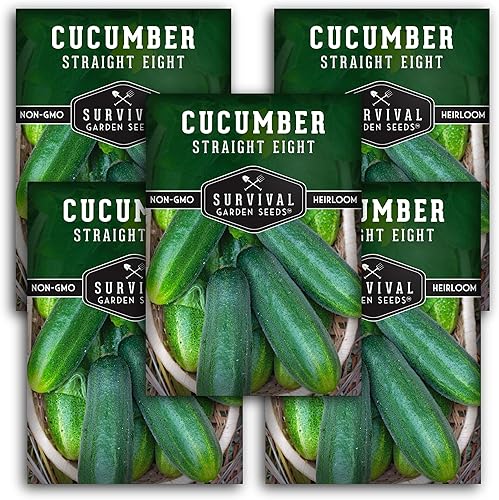 5 paquetes de semillas de pepino rectas de ocho para plantar, paquete con instrucciones para cultivar pepinos en decapado y rebanar pepinos en tu