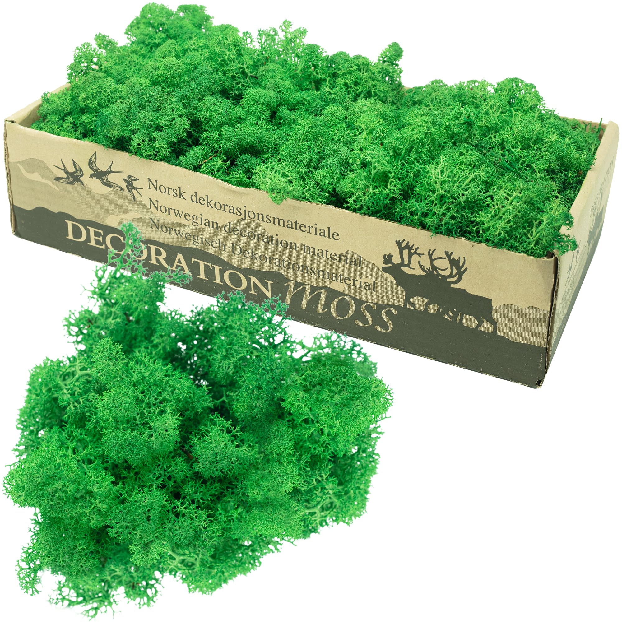 Karton mech islandzki zielony - 500 g